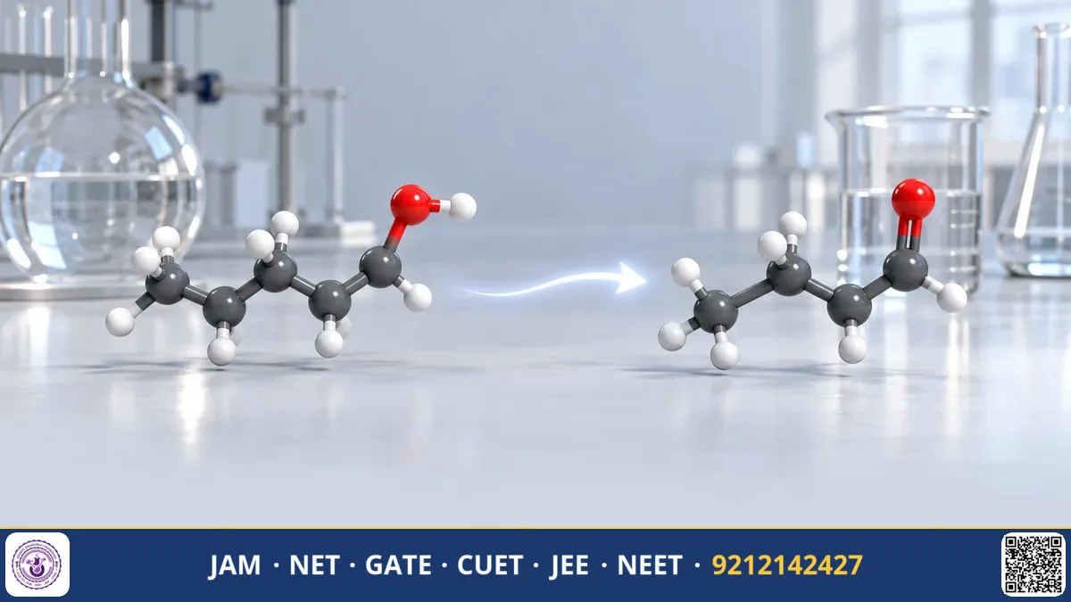 Flowchart diagram mapping chemical reactions between aliphatic functional groups with molecular structures