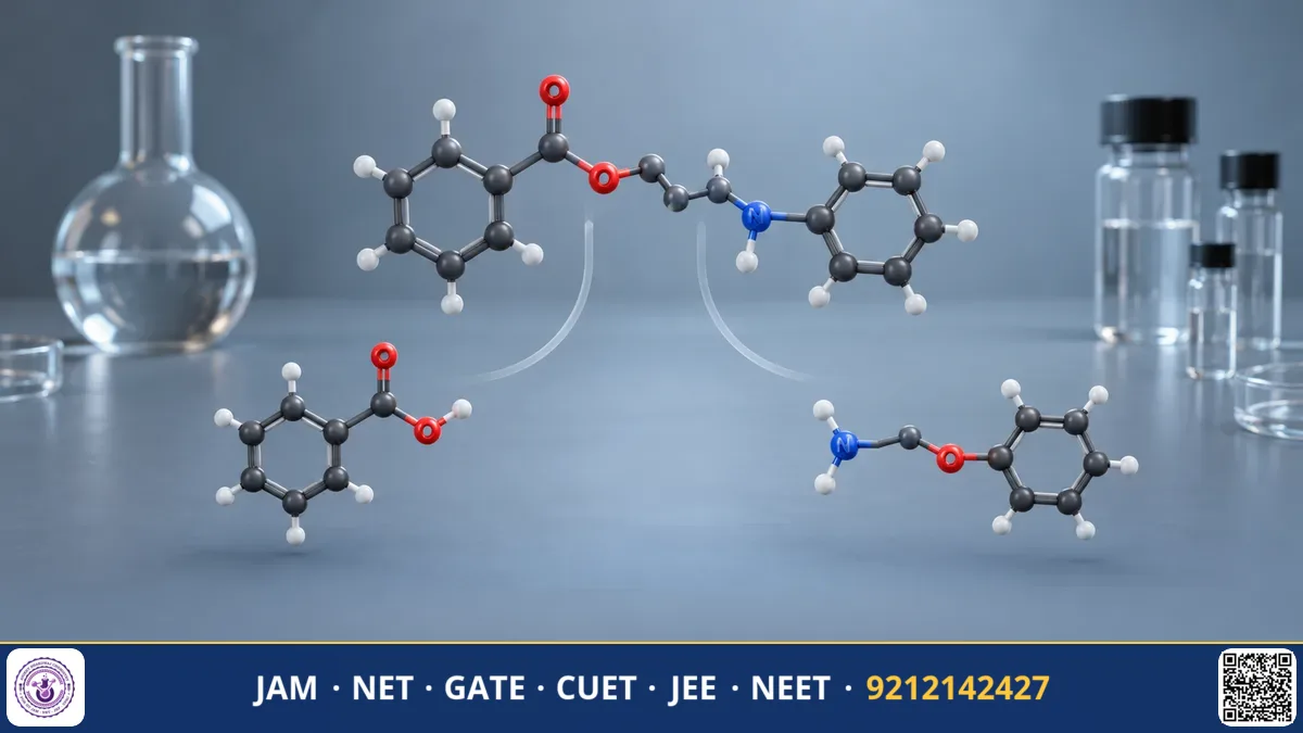 Chalkboard showing a complex organic molecule disconnected into smaller synthon fragments with retrosynthetic arrows.