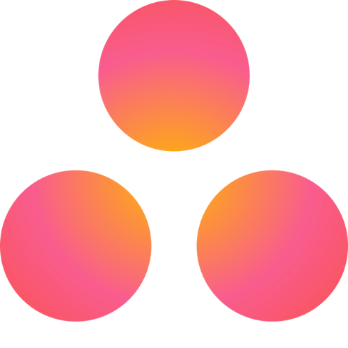 Asana task management and team collaboration software